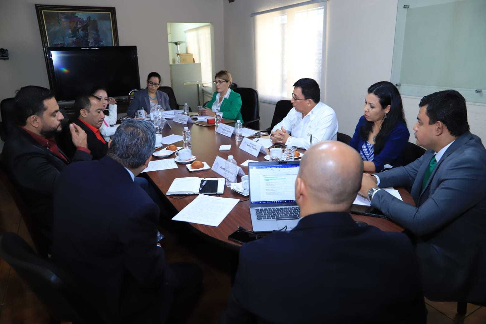 Mesa Interinstitucional por la Niñez impulsada desde el CN inicia trabajos para identificar temas prioritarios